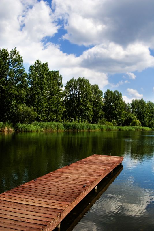 Pond Dock Construction in Alpharetta, GA